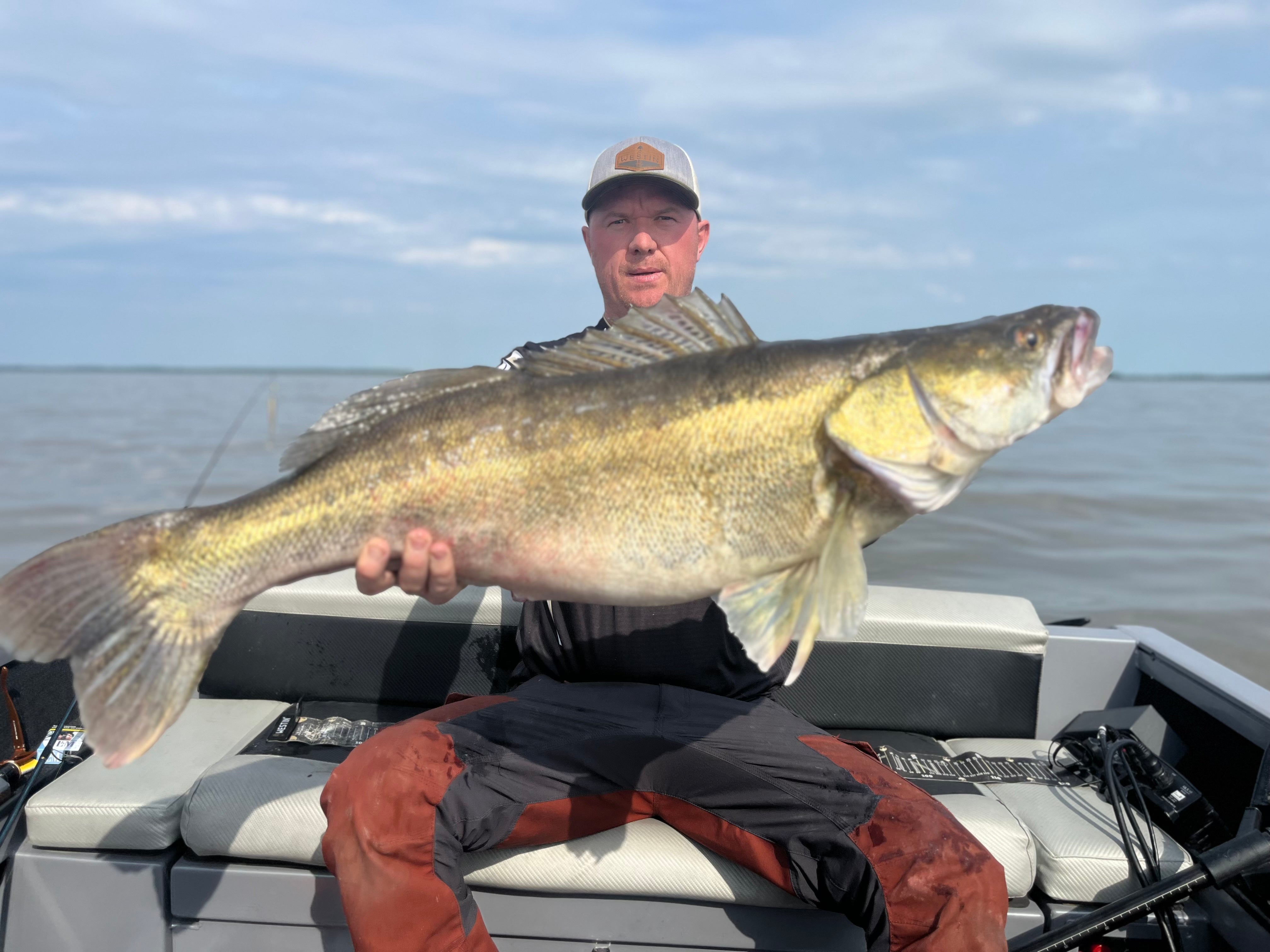 Sander fishing
