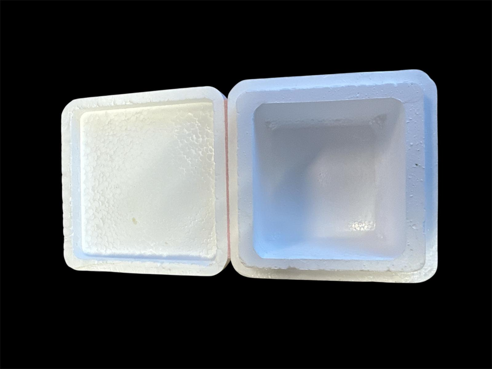 Elussööda karp peno BTF kandiline 80x80x45mm 109