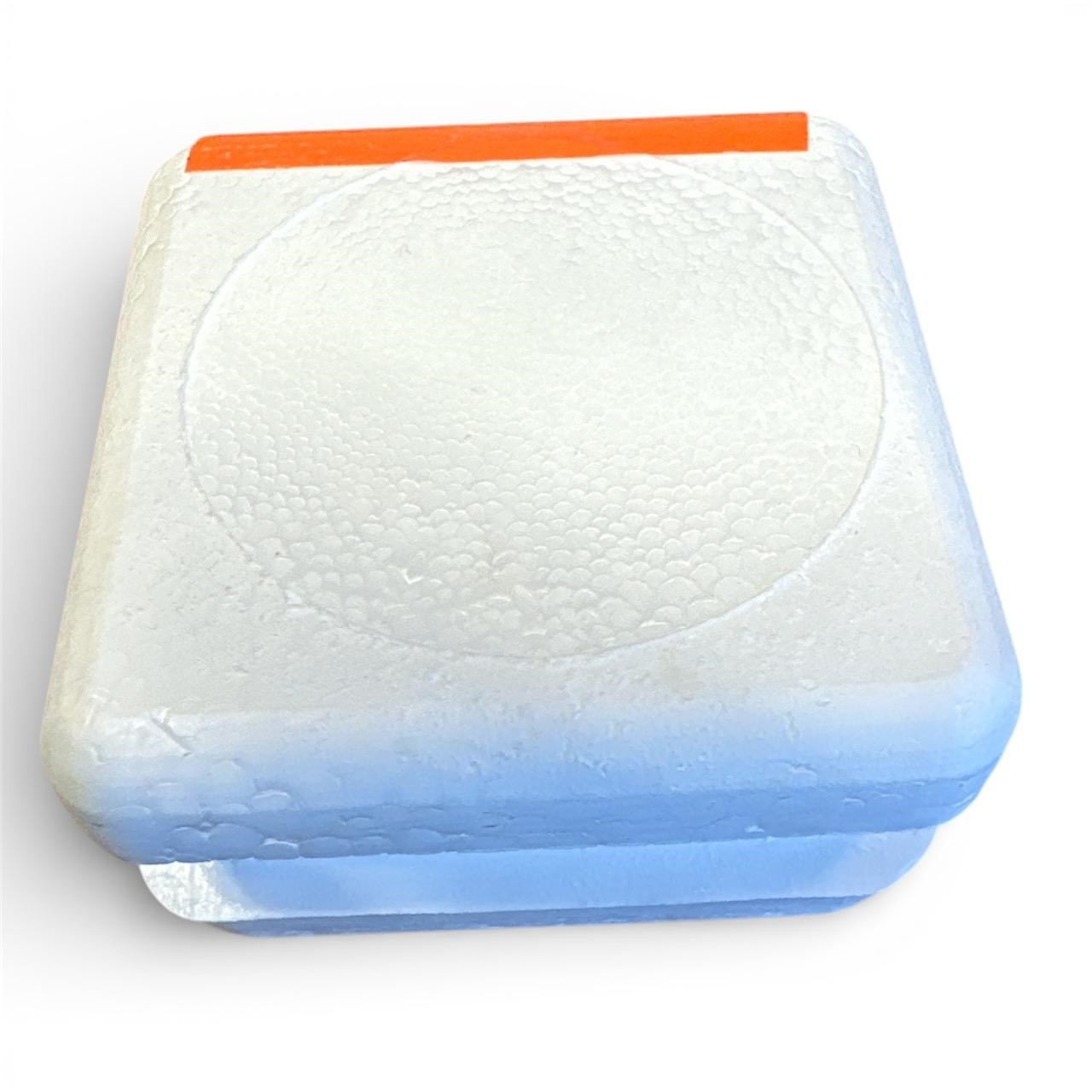 Elussööda karp peno BTF kandiline 80x80x45mm 109