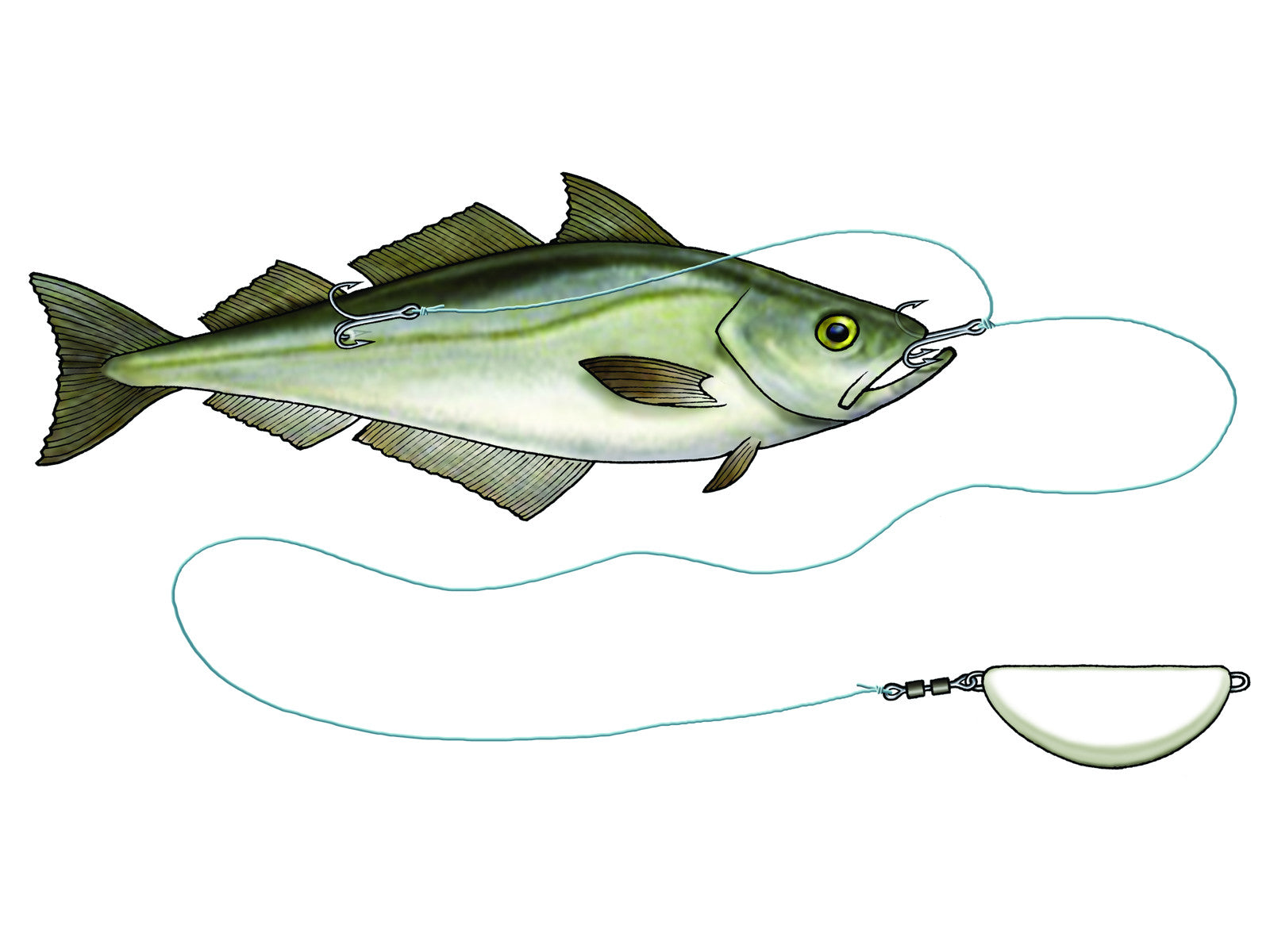 Elussööda rakendus WESTIN Halibut Anti Twist Rig S082
