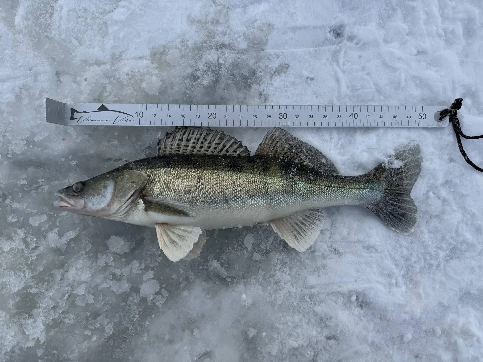 Mõõdulatt VV alu 50cm 54321