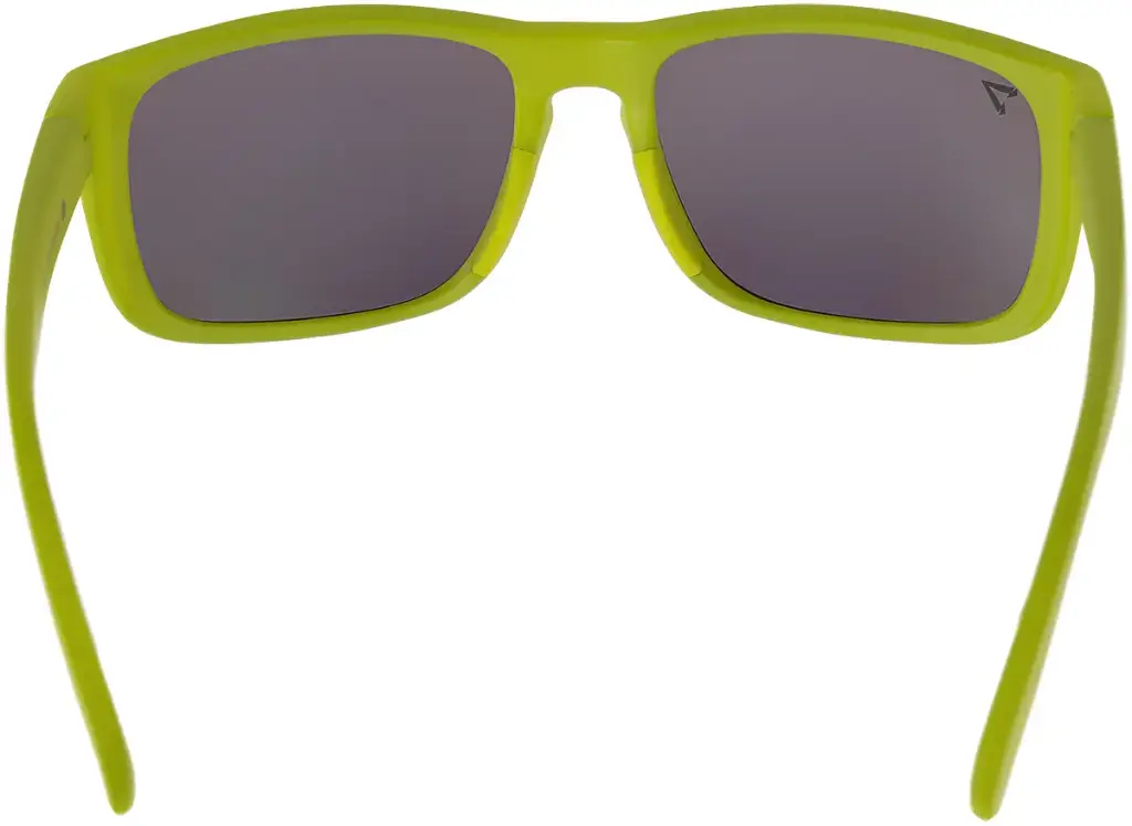 Päikeseprillid SELECT Toxic Polarized 18708230