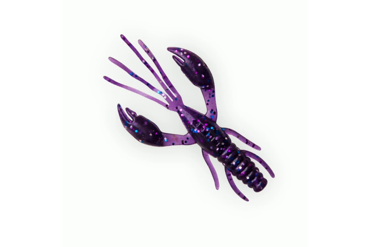 Võdik FANATIK Raider