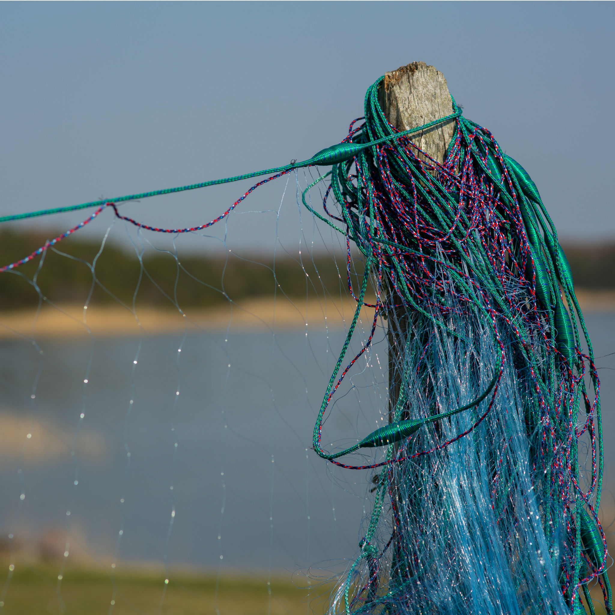 Рыболовная сеть 38x1,8x0,15монофил/30м