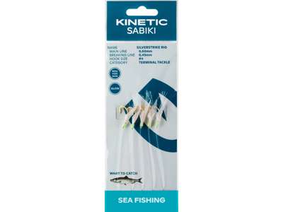 Räimerakendus KINETIC SilverStrike #6 Fishskin/Flash F101-142-015