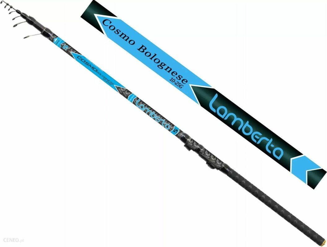 Rulliõng MISTRALL LAMBERTA Cosmo Bolo 6,00m 10-25g RM-2141960