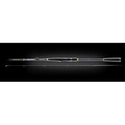 Spinning FAVORITE Skyline 2,29m 5-18g SKYA762ML Ex.Fast