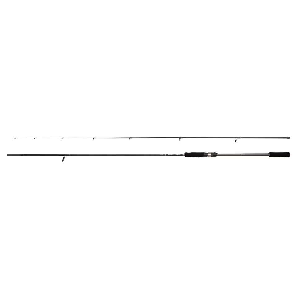 Spinning SHIMANO Bassterra A Seabass Spinning 2,44m 8,0`6-28g 2pc BSTRASB80M