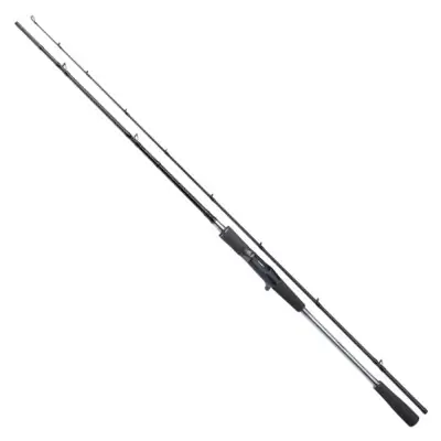Spinning SHIMANO Yasei BB Pike 2,50m 40-120g 2pc Casting YASBBAXPIC25XXH