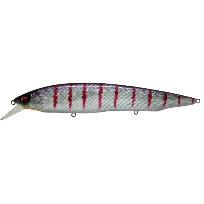 Vobler MEGABASS Kanata AYU 160mm 30g F 0,8-1,2m Max 2,2m (SP-C) Cold Bolt 4513473448881