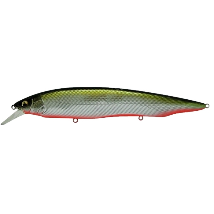 Vobler MEGABASS Kanata AYU 160mm 30g F 0,8-1,2m Max 2,2m (SP-C) M RB Shad 4513473448867