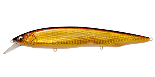 Vobler MEGABASS Kanata AYU 160mm 30g F 0,8-1,2m Max 2,2m SW GG AKAKIN 4513473432057