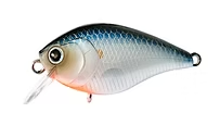 Vobler NOIKE Kaishin Crank 45SR 45mm 6,0g -1,2m Ujuv #07 Orange Spot Shiner 4580448477849