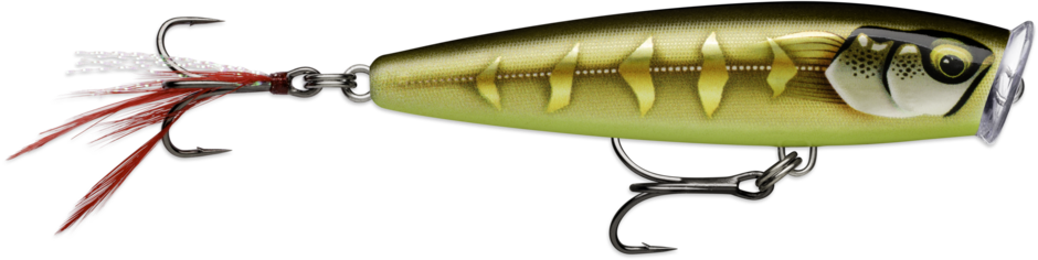 Vobler RAPALA Skitter Pop Elite 75 Gilded Striped Grey Shiner SPE75GDSGS