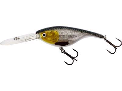 Vobler WESTIN BabyBite DR Crankbait 6,5cm 13g 3D Headlight P046-449-003
