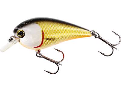 Vobler WESTIN BassBite 1.5 Squarebill 6cm 13g Floating Official Roach P154-155-148