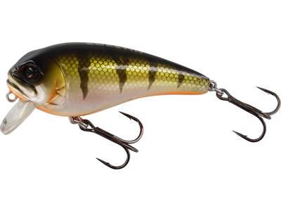 Vobler WESTIN FatBite Crankbait 8cm 24g Floating Bling Perch P047-023-007