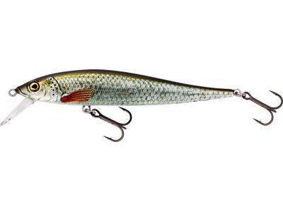 Vobler WESTIN Jerkbite Sr Jerkbait 9cm 8g Suspending Real Roach P070-551-009