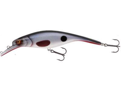 Vobler WESTIN Platypus Crankbait 16cm 56g Low Floating Stamped Roach P107-219-027