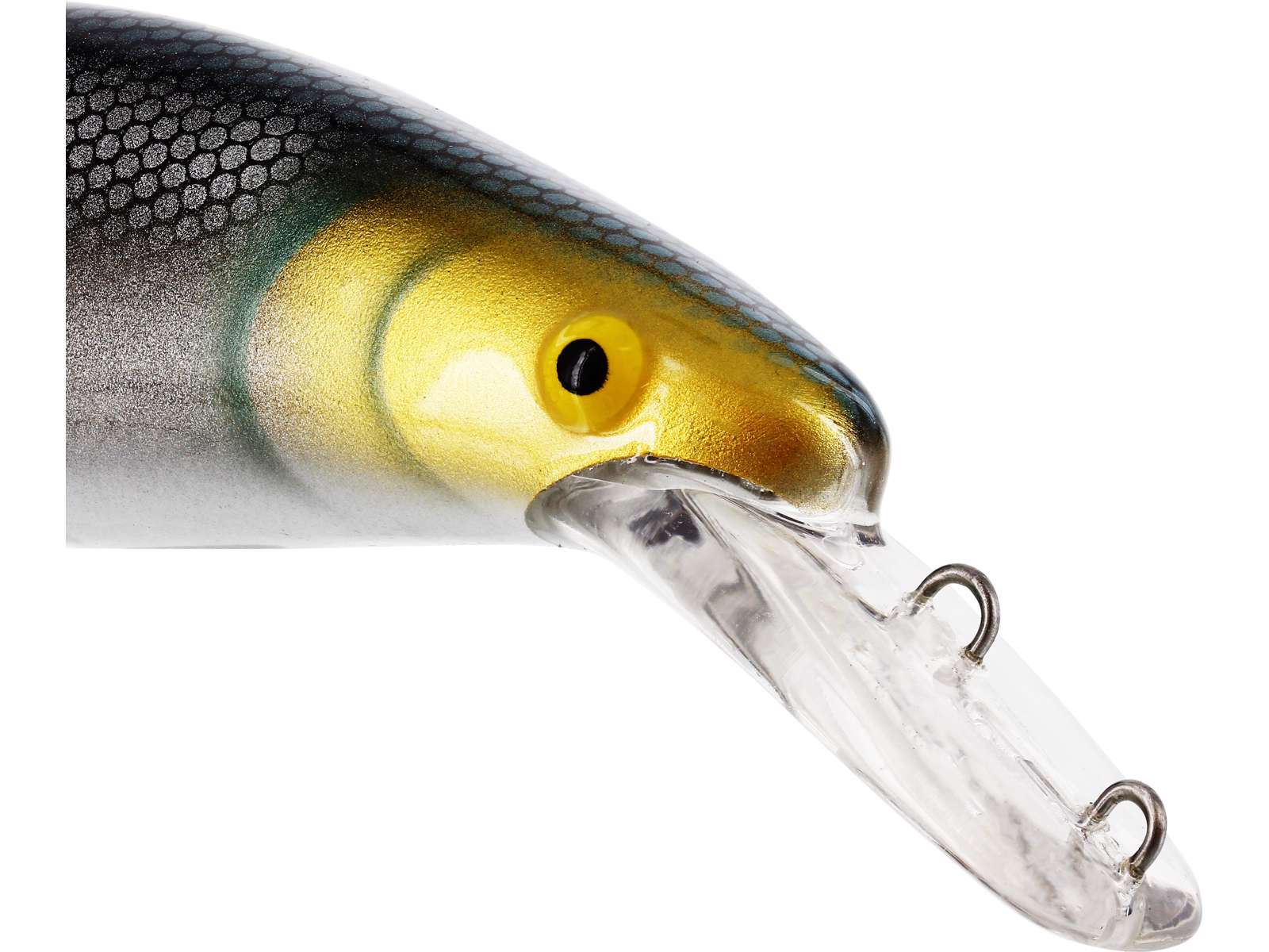 Vobler WESTIN Platypus Crankbait P107