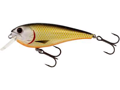 Vobler WESTIN RawBite Crankbait 7cm 12g Floating Official Roach P048-155-005