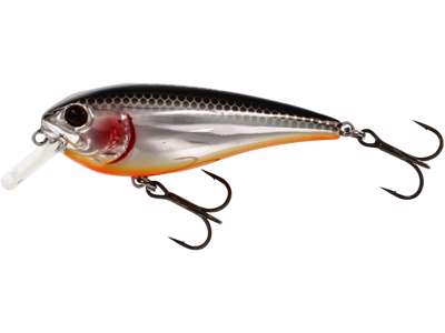 Vobler WESTIN RawBite Crankbait 7cm 12g Floating Steel Sardine P048-221-005