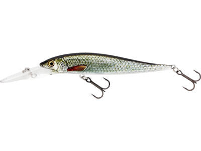 Vobler WESTIN Vobler WESTIN Jerkbite MR Jerkbait 9cm 9g Suspending Real Roach P071-551-009