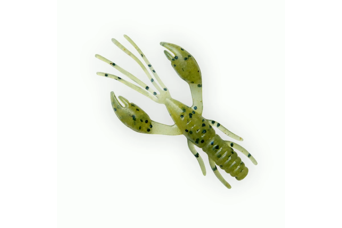 Võdik FANATIK Raider 1,6" col. 001 8tk/pk 00116RD