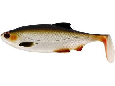 Võdik WESTIN Ricky the Roach Shadtail 14cm 42g Lively Roach 1pc P013-136-019