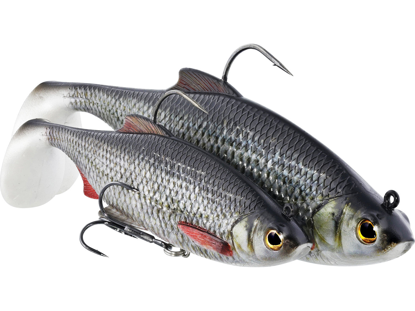 Võdik WESTIN Ricky the Roach Shadtail R ´N R P063