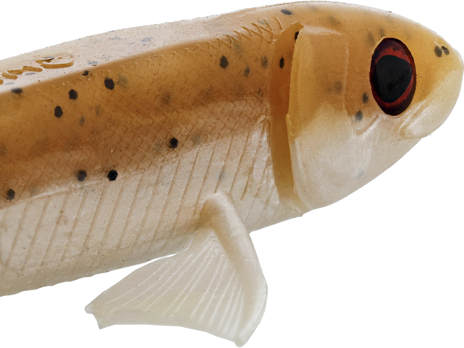 Võdik WESTIN Twinteez Pelagic V-Tail R`NR P075